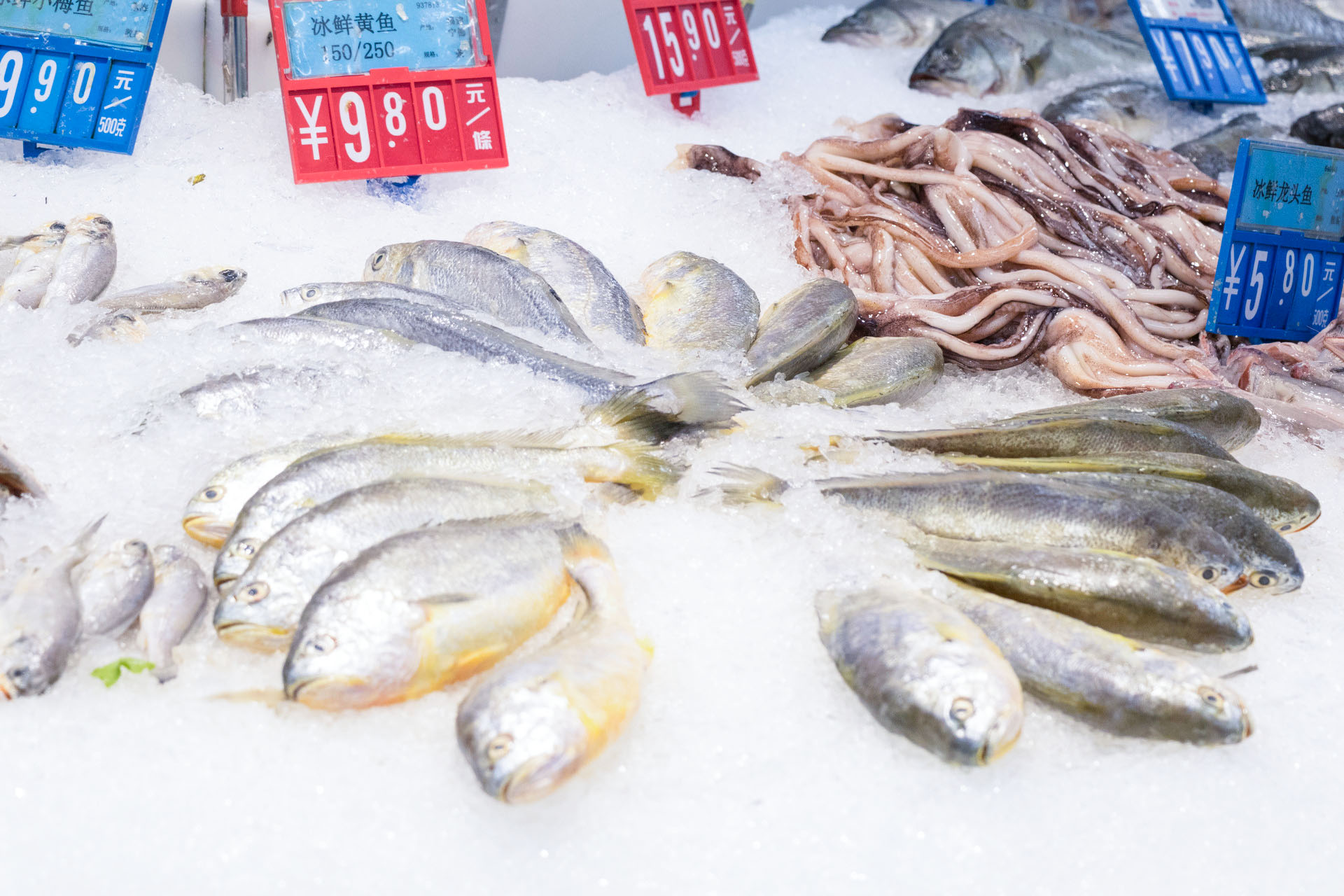理性看待網(wǎng)紅趕海，注意水產(chǎn)品安全問(wèn)題！