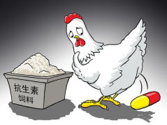 食品抗生素層出不窮，如何檢測？